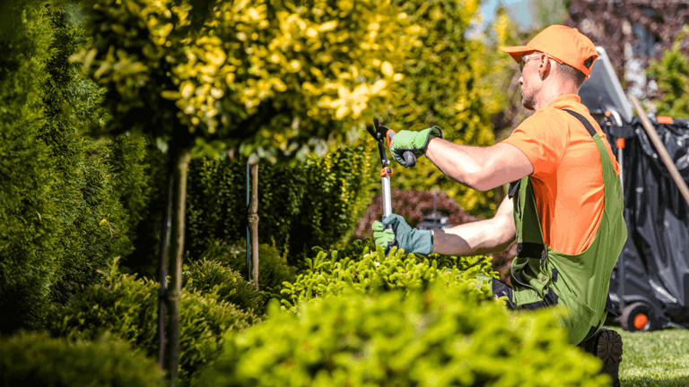 The UK Seasonal Worker Visa